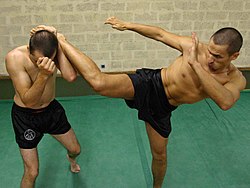 Lethwei-Hight-kick.jpg