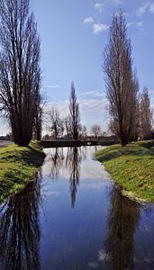 Linazay, la mare du bourg en période de crue du Sillon