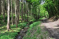 Vallée supérieure de l'Our et affluents de Lieler à Dasbourg