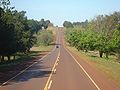 08/06/2008 - Tierra colorada y suaves serranías en el paso de la ruta Nacional 12 por Misiones. - Ruta Nacional 12 (Argentina)