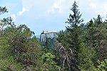 Wacholderhain bei Stein