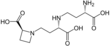 Imagen de la estructura