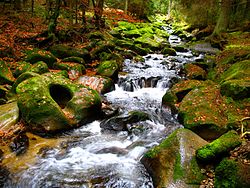 Šumava