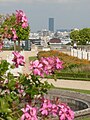 Tour Montparnasse depuis la terrasse des orangers