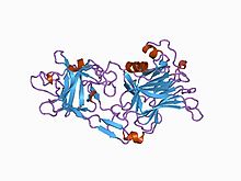 PDB 1a8d EBI.jpg