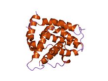 PDB 1g5j EBI.jpg