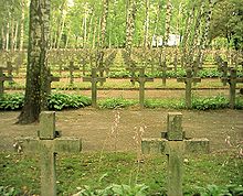 Graves of Polish soldiers killed during the Battle of Warsaw, Powazki Military Cemetery Powazki 1920.JPG