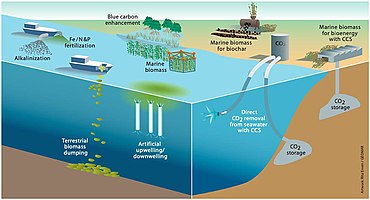 Proposed marine carbon dioxide removal options Proposed marine carbon dioxide removal options.jpg