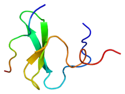 Белок YAP1 PDB 1jmq.png