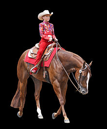 Western horsemanship attire and style of riding Quarter Horse trotting.jpg
