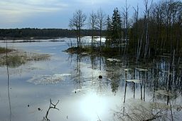 Rosenkällasjön i Tinnerö eklandskap.