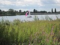 View of sailing boat on Brent Reservoir from Welsh Harp Open Space