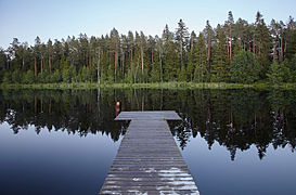 Järvselja Selgjärv