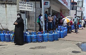 Sri Lankan economic crisis 2022.jpg
