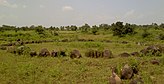 Stone circle at Junapani, Nagpur.jpg