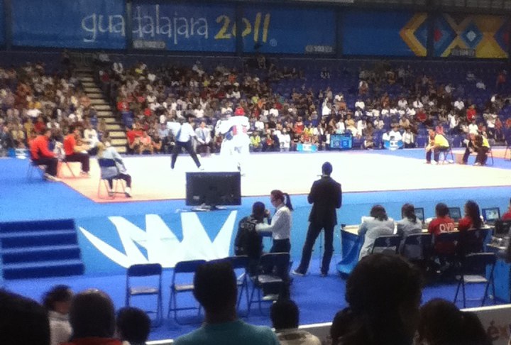 File:Taekwondo event at the 2011 Pan American Games (cropped).jpg