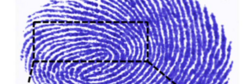 Teerahertz near-field array for mm-scale surface imaging (cropped).png