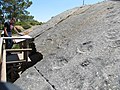 Algumas pegadas observáveis no Monumento Natural da Pedreira do Avelino, em Portugal.