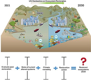 UN Decade on Ecosystem Restoration: 2021 to 2030 - coastal ecosystems UN Decade on Ecosystem Restoration 2021 to 2030 - coastal ecosystems.jpg