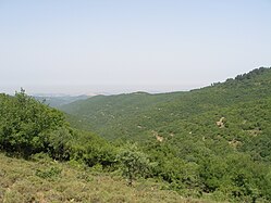 Zone montagneuse de Haute Galilée.