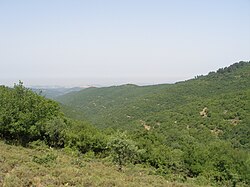 Hornatá krajina v Horní Galileji