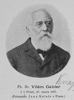 Portrait of Vilém Gabler (1821 - 1897), Czech ...