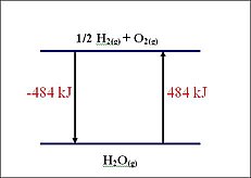 The enthalpy of water formation.