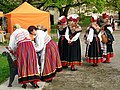 Image 34Estonian folk music performers dressed in traditional clothing (from Culture of Estonia)