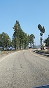 विपी कोइराला राजमार्ग