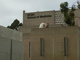 Biomedical Sciences Building.jpg