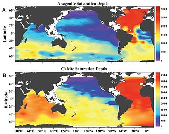 Distribution of (A) aragonite and (B) calcite saturation depth in the global oceans CalciumAragoniteSaturation.jpg