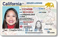 Californian sample driver's license, c. 2019.jpg