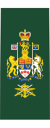 Canadian Army OR-9b.svg