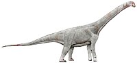 Miniatura para Chubutisaurus insignis