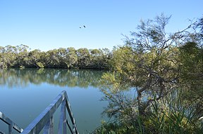 Dalhousie Springs