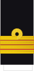 Denmark-Navy-OF-5 (Medical).svg