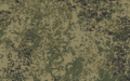 EMR camouflage variant used[18] by the Armed Forces of Belarus