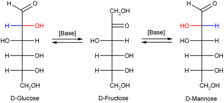 Glucose-Fructose-Mannose-Gleichgewicht