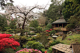 Японский чайный сад, Сан-Франциско.jpg