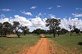 Kalahari Farm Buitepos