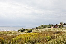 Kustlandskap i Magnarp-Vejbystrand