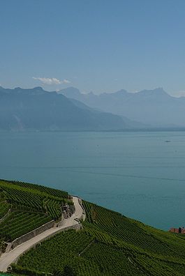 Lavaux5.JPG