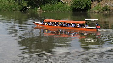 Boot auf dem Rio Magdalana