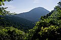 足柄万葉公園付近から望む矢倉岳