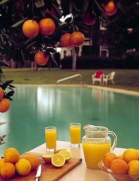 Orange juice-State beverage of Florida.jpg