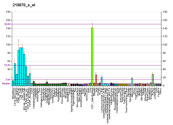 PBB GE KLF13 219878 s at fs.png