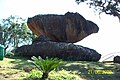 Para apreciar sem destruir (Parque Pedra do Navio)