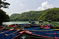 Boats in Phewa Lake