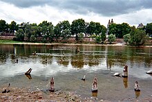 photo de pieux antiques alignés et dépassant de l'eau