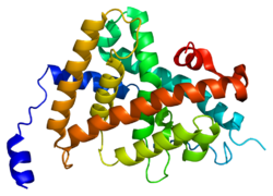 Белок THRA PDB 1nav.png